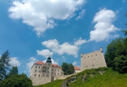 (photo)