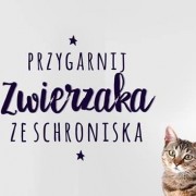 Przygarnij zwierzaka ze schroniska