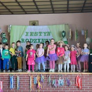 Festyn Rodzinny w Świńcu